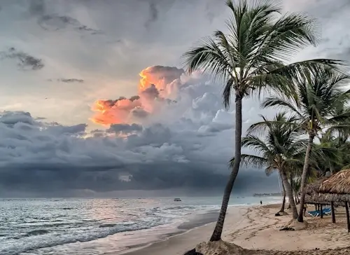 Holiday scene on the tropical beach